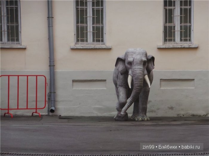 паола рейна