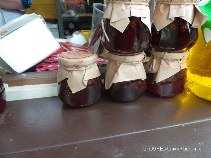 паола рейна