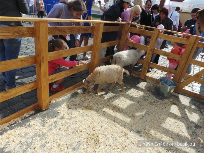 Детский фестиваль Спасская башня, уже в Москве! наша прогулка с куклой Galoob Baby Fase | Бэйбики Детский фестиваль Спасская башня, уже в Москве! наша прогулка с куклой Galoob Baby Fase