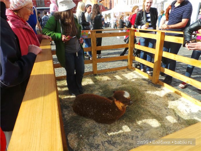 Детский фестиваль Спасская башня, уже в Москве! наша прогулка с куклой Galoob Baby Fase | Бэйбики Детский фестиваль Спасская башня, уже в Москве! наша прогулка с куклой Galoob Baby Fase