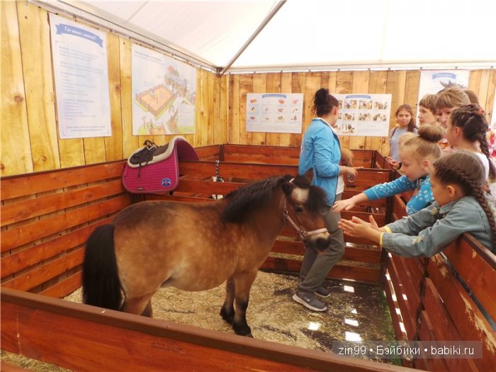 Детский фестиваль Спасская башня, уже в Москве! наша прогулка с куклой Galoob Baby Fase | Бэйбики Детский фестиваль Спасская башня, уже в Москве! наша прогулка с куклой Galoob Baby Fase