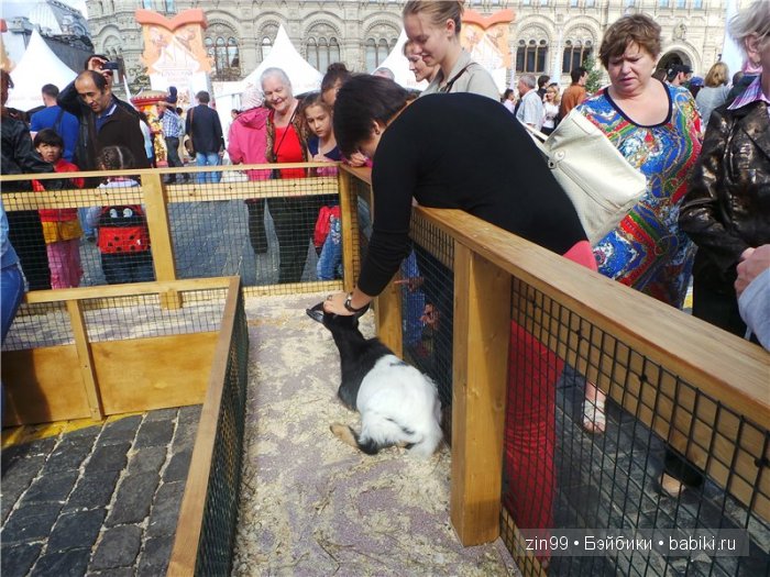 Детский фестиваль Спасская башня, уже в Москве! наша прогулка с куклой Galoob Baby Fase | Бэйбики Детский фестиваль Спасская башня, уже в Москве! наша прогулка с куклой Galoob Baby Fase