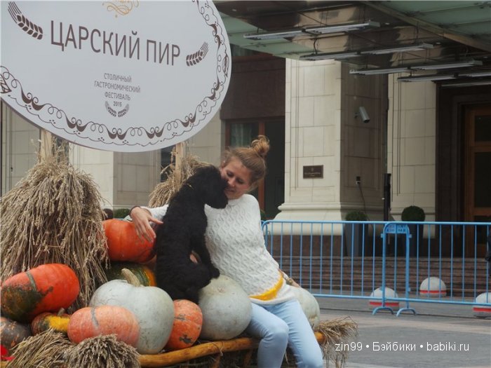 Куклы капусты  Cabbage patch