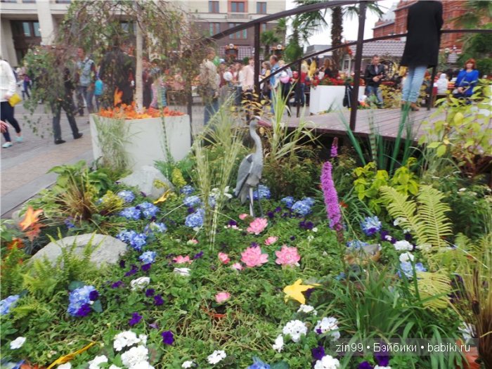 Куклы капусты  Cabbage patch