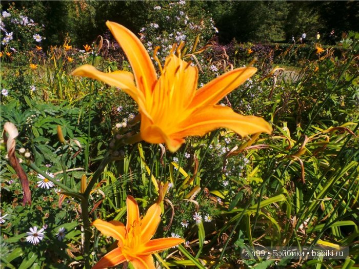 Летняя прогулка и мои вязалочки с куклами Galoob Baby Fase dolls