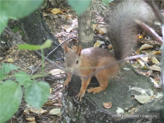 Летняя прогулка и мои вязалочки с куклами Galoob Baby Fase dolls