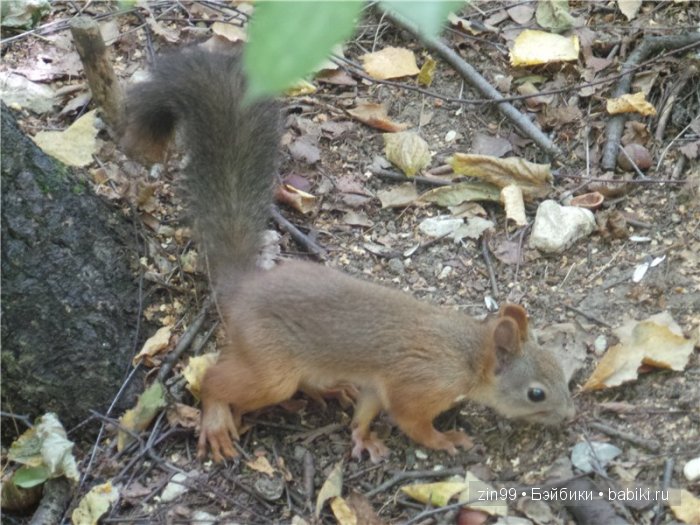 Летняя прогулка и мои вязалочки с куклами Galoob Baby Fase dolls