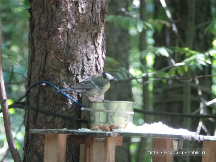 Летняя прогулка и мои вязалочки с куклами Galoob Baby Fase dolls