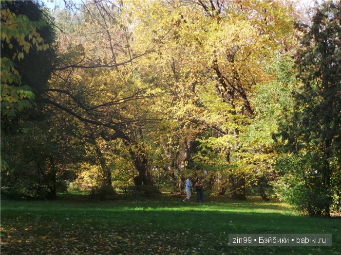 Дружба с детства или как Натали в гости ходила