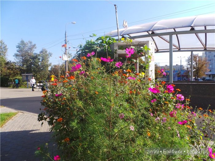 паола рейна