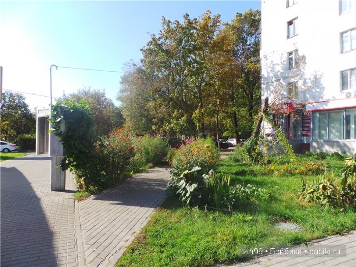 паола рейна