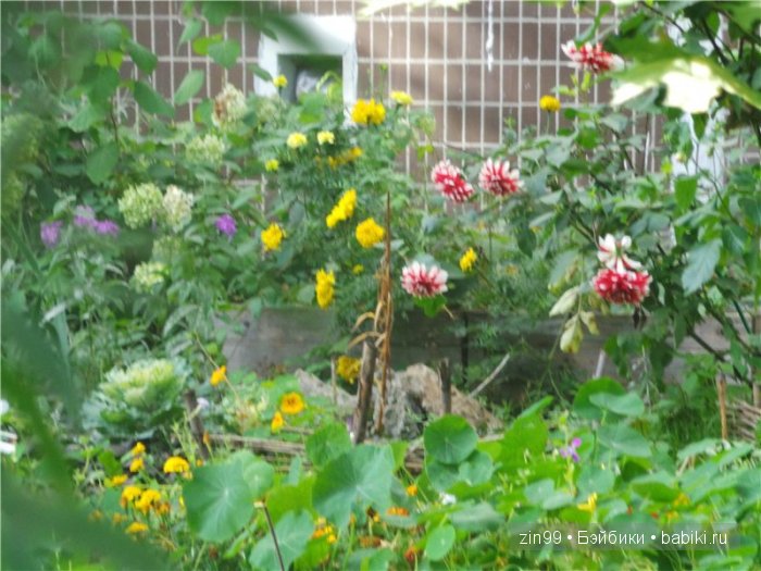 паола рейна