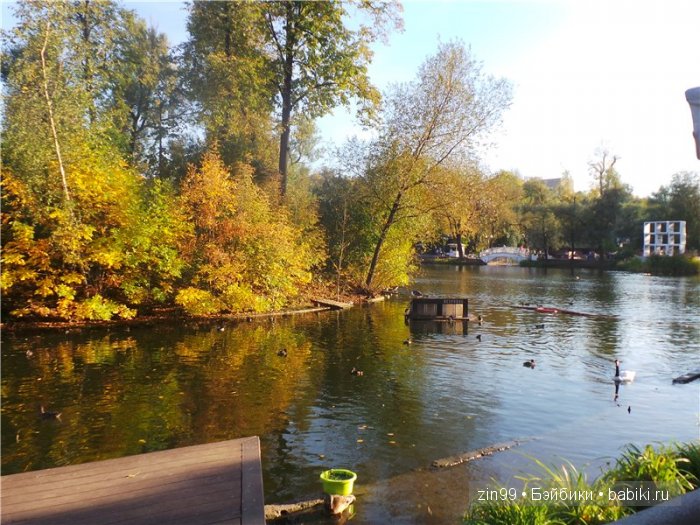 паола рейна