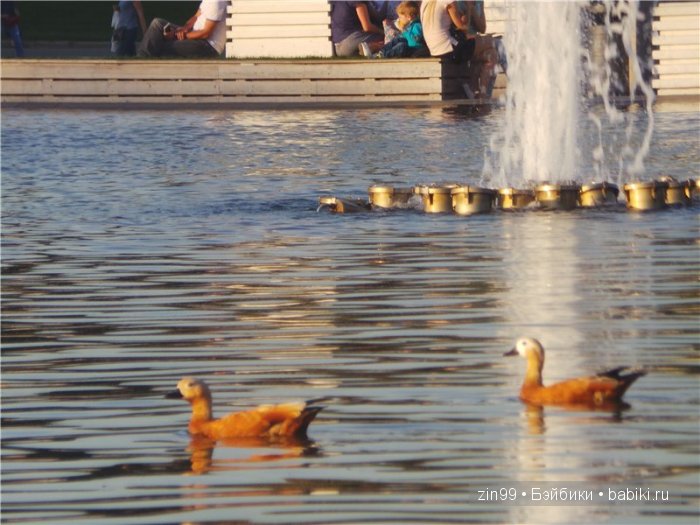 паола рейна