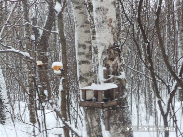 Кукла Грейс линейки Kidz'n'Cats немецкой художн.