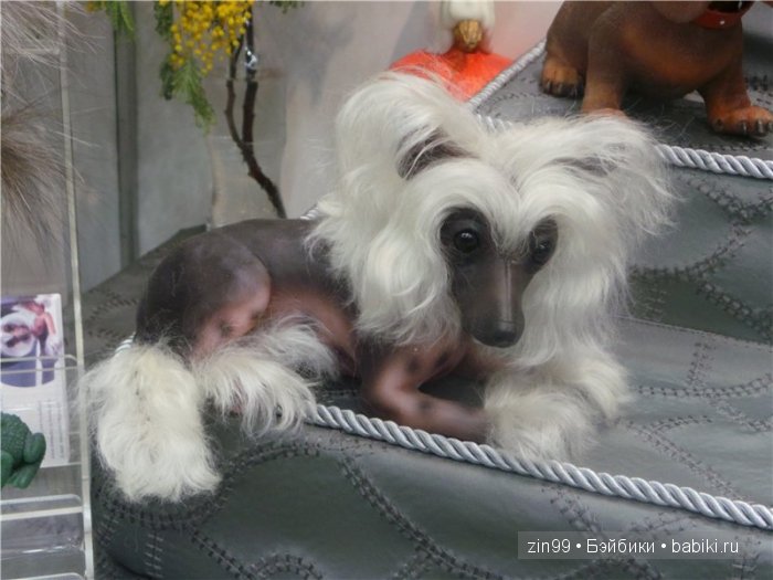 выставка кукол