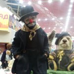 Мишка Град 2016, X Московская Международная выставка на Тишинке моими глазами!