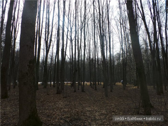 Две прогулки с Фейсинками Galoob Baby Face