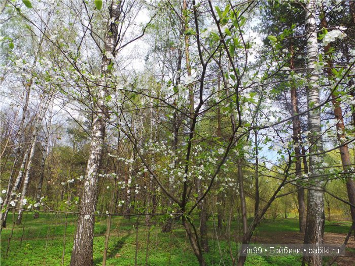 Весна! Все распускается, гуляем с куклами Galoob Baby Face doll