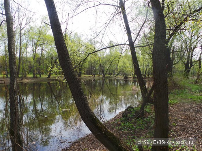 Весна! Все распускается, гуляем с куклами Galoob Baby Face doll