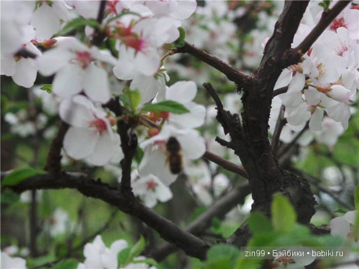 Весна! Все распускается, гуляем с куклами Galoob Baby Face doll