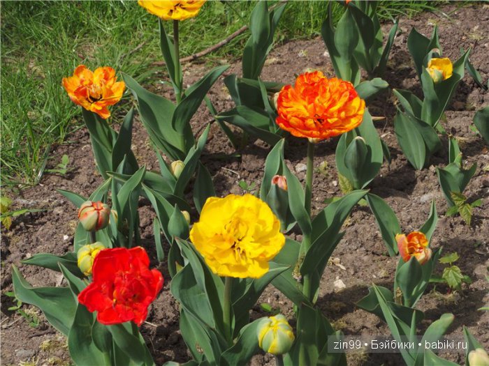 Сад Будущего и прогулка с куклой Galoob Baby Face dolls | Бэйбики Сад Будущего и прогулка с куклой Galoob Baby Face dolls