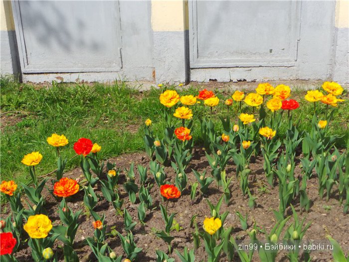 Сад Будущего и прогулка с куклой Galoob Baby Face dolls | Бэйбики Сад Будущего и прогулка с куклой Galoob Baby Face dolls