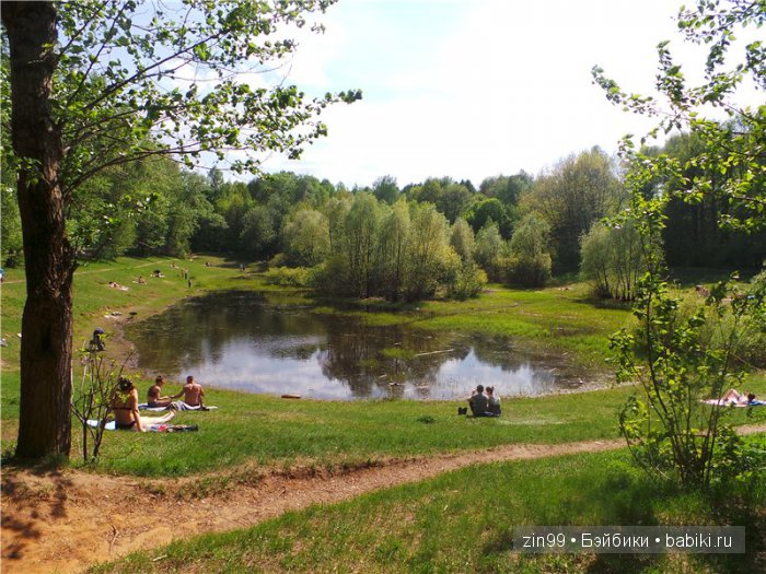 Изысканная Нэнси, небольшой рассказ или правдивая Сказка