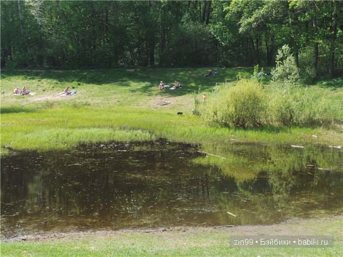 Изысканная Нэнси, небольшой рассказ или правдивая Сказка