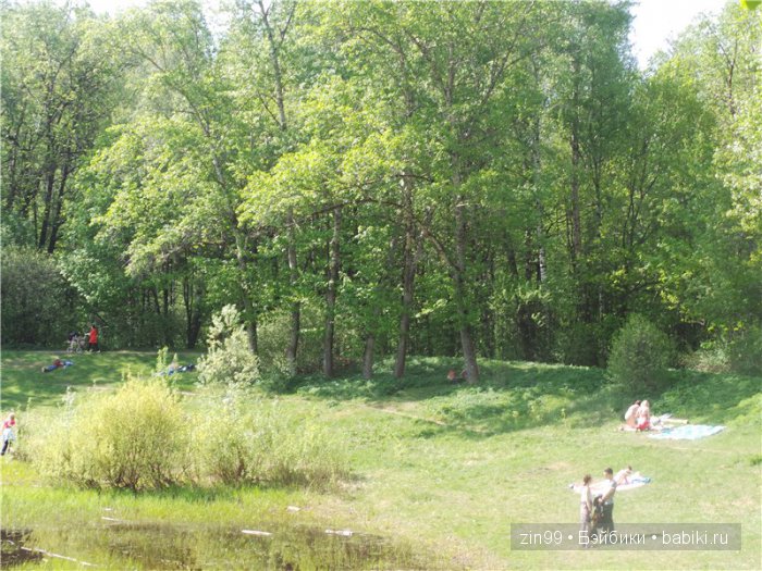 Изысканная Нэнси, небольшой рассказ или правдивая Сказка