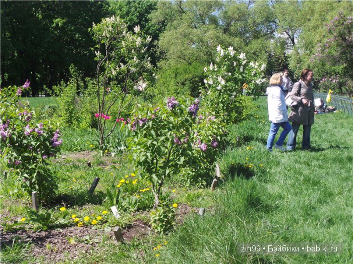 kidz 'n'cats kidz 'n'cats