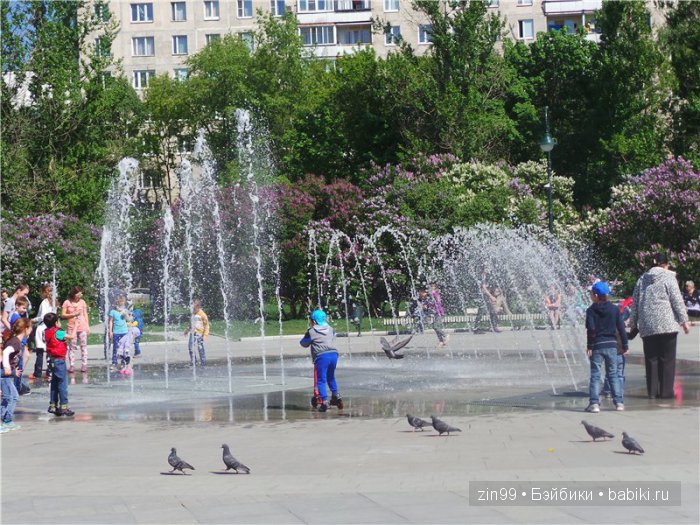 kidz 'n'cats kidz 'n'cats