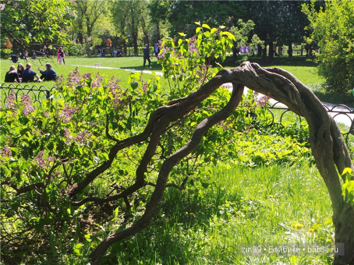 kidz 'n'cats kidz 'n'cats