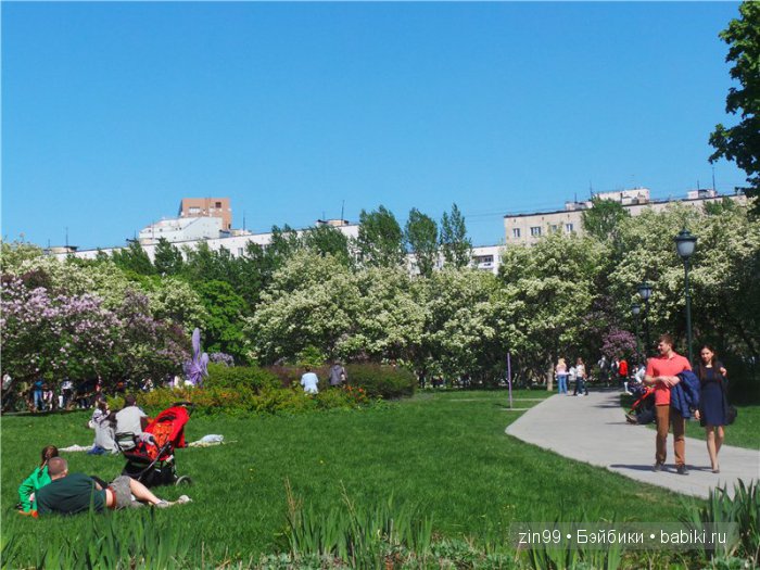 kidz 'n'cats kidz 'n'cats