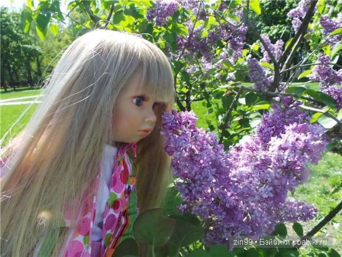 kidz 'n'cats kidz 'n'cats