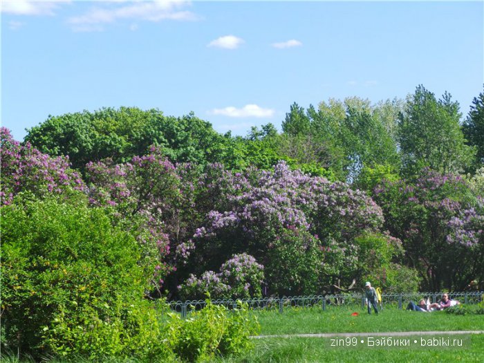 kidz 'n'cats kidz 'n'cats