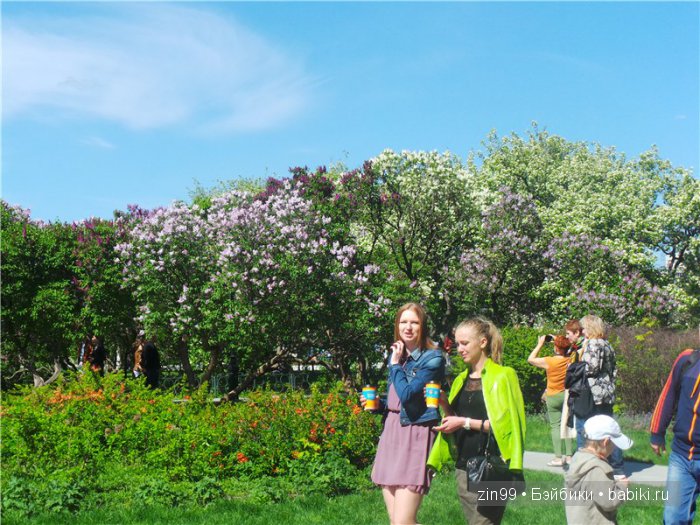 kidz 'n'cats kidz 'n'cats