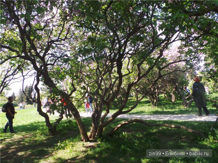 kidz 'n'cats kidz 'n'cats