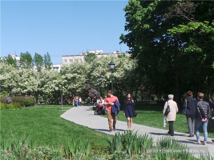 kidz 'n'cats kidz 'n'cats