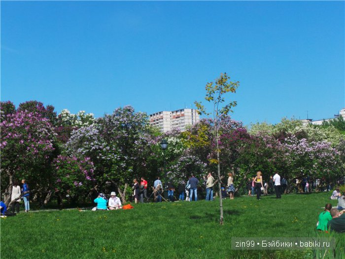 kidz 'n'cats kidz 'n'cats