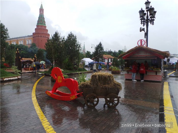 Выставка камней или дождливые выходные
