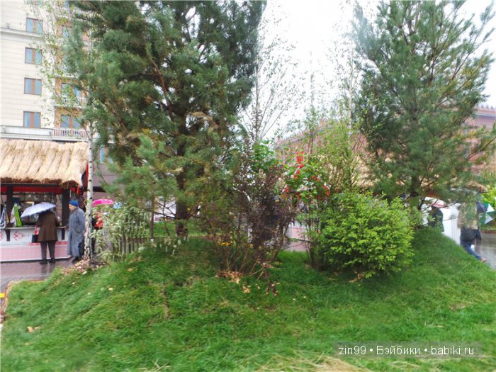 Выставка камней или дождливые выходные