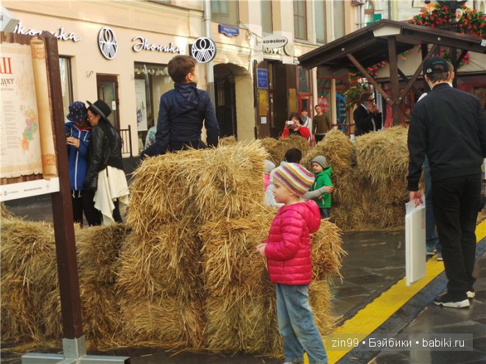 Фестиваль в Москве "Наш продукт" или ко мне прибыли новые капусточки (фото 8)