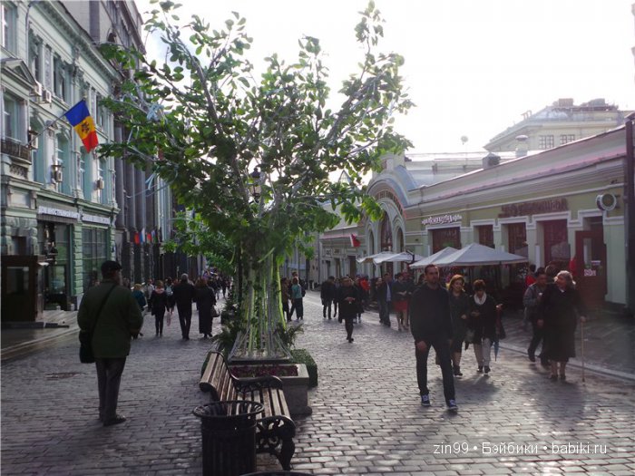 Фестиваль в Москве "Наш продукт" или ко мне прибыли новые капусточки