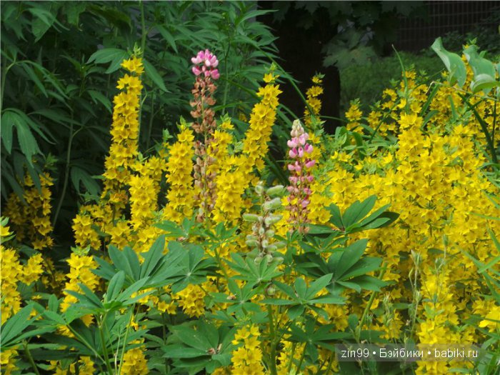 Фейсинки разные нужны и куклы Galoob Baby Fase dolls важны! Или наш дворовый садик и новенькая СЬЮЗИ (фото 4)