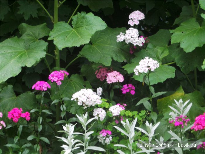 Фейсинки разные нужны и куклы Galoob Baby Fase dolls важны! Или наш дворовый садик и новенькая СЬЮЗИ (фото 5)