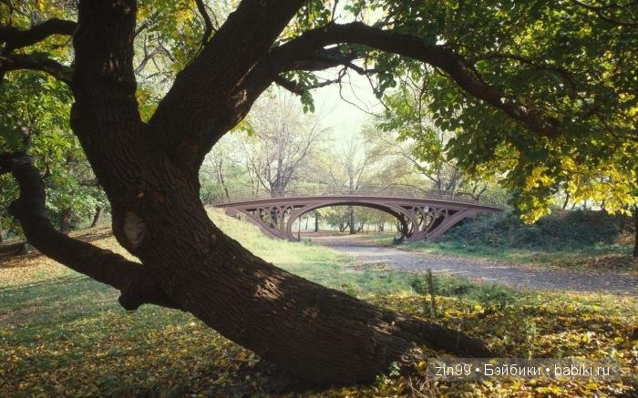 Жарко, спасает Дубрава! Прогулка с капусткой Cabbage Patch Kids dolls