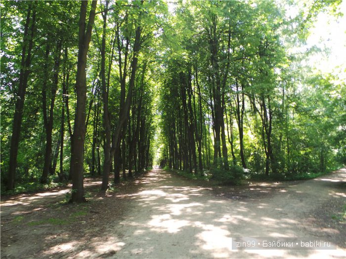 лена kidz'n'cats