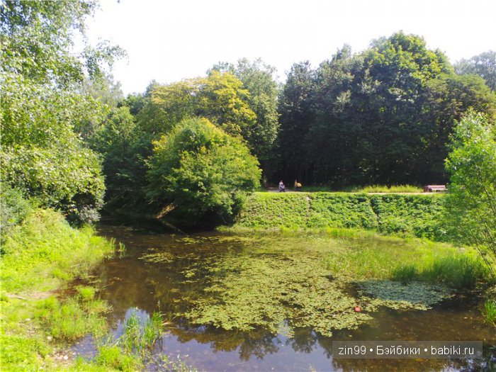 лена kidz'n'cats