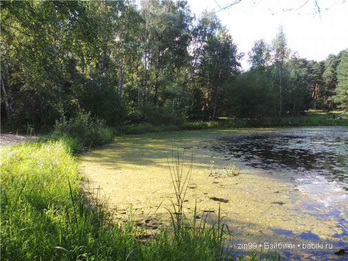 Прогулка в Серебряный бор! Вместе с Сюзи от Galoob Baby Face